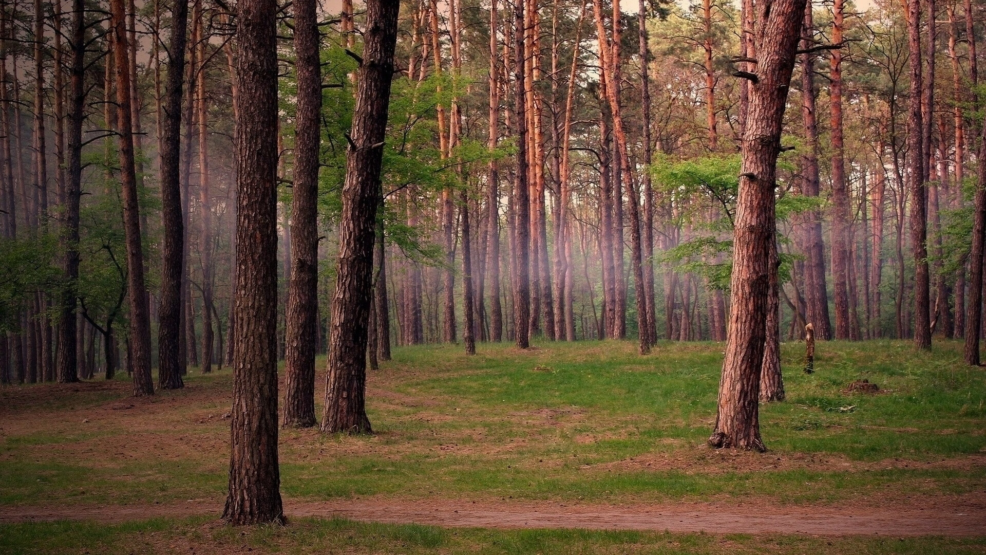 世界体操夏令营：青少年训练氛围浓厚成果丰硕，世界体操协会官网